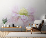 Forever Spring Poster och Canvastavla