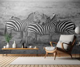 Stripes Poster och Canvastavla