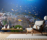 Anemon and Anthias Poster och Canvastavla