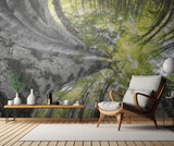 Bug's-eye view Poster och Canvastavla