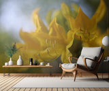 Pontische azalea Poster och Canvastavla