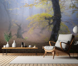 Fog in Mazichal forest Poster och Canvastavla