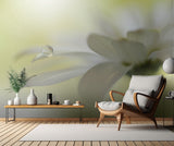 Dreams Of Heaven.. Poster och Canvastavla