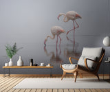 Flamingos Poster och Canvastavla