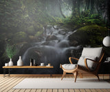 Borneo Rainforest Poster och Canvastavla