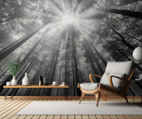 To the light Poster och Canvastavla