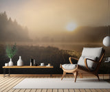 The incredible light of an October morning Poster och Canvastavla
