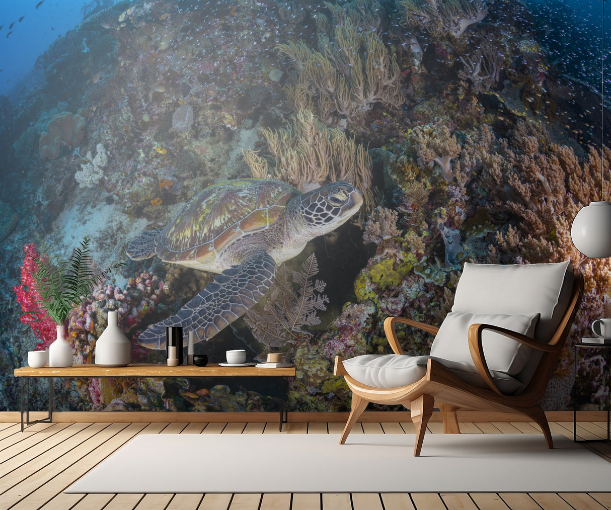 Coral garden and green turtle Poster och Canvastavla