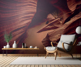 Rattlesnake Canyon Poster och Canvastavla