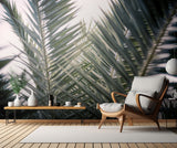 Palm Branches Poster och Canvastavla