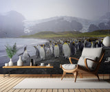 The King Penguins‘ Habitat in South Georgia Island Poster och Canvastavla