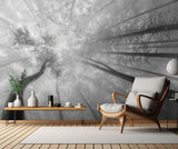 Fog in the treetops Poster och Canvastavla