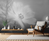 Wild rose in the wind Poster och Canvastavla