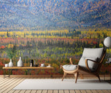 Fall Color in The Mountain Poster och Canvastavla