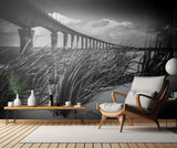 Le pont Poster och Canvastavla