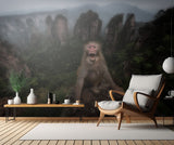 Macaco rhesus Poster och Canvastavla