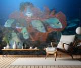 Painted sweetlips Poster och Canvastavla