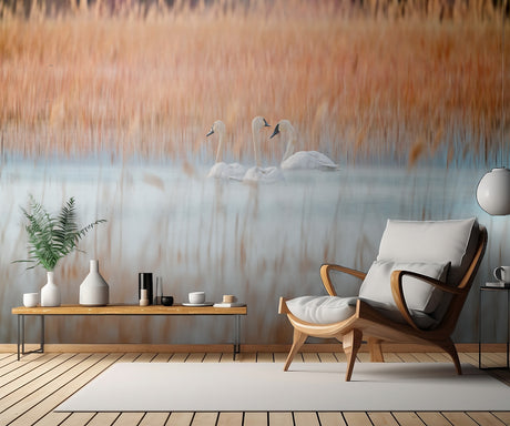 Three white swans Poster och Canvastavla