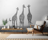 Giraffes in the  Mara plains Poster och Canvastavla