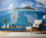 Dussumier's surgeonfish Poster och Canvastavla