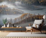 Foggy morning Poster och Canvastavla