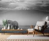 The land of giants Poster och Canvastavla