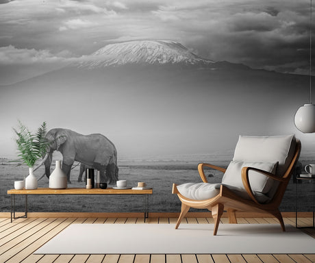 The land of giants Poster och Canvastavla
