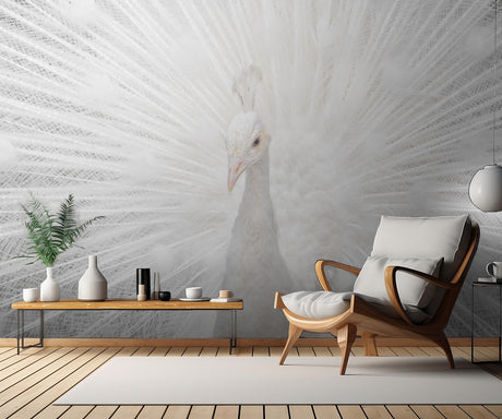 Splendid Whitie Poster och Canvastavla