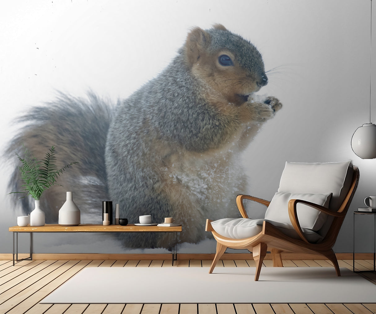 Squirrel Poster och Canvastavla