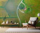 Wine House Poster och Canvastavla