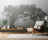 Tree in the mist Poster och Canvastavla