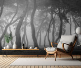 Foggy morning Poster och Canvastavla