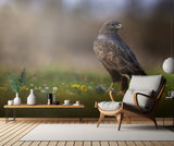 It's spring time Poster och Canvastavla