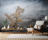 Cold autumn morning in the mountains Poster och Canvastavla
