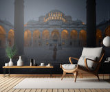 Naboo Royal Palace Poster och Canvastavla