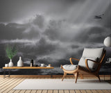 Storm Poster och Canvastavla
