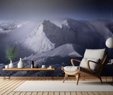 Rohace at Night Poster och Canvastavla