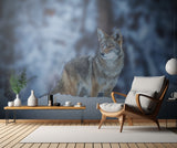 Coyote in Winter Poster och Canvastavla