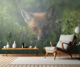 Red fox Poster och Canvastavla