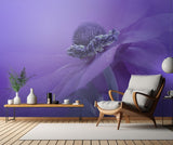 Purple Anemone Poster och Canvastavla