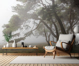 Pine Grove in Fog-2 Poster och Canvastavla