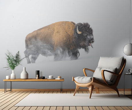 Bison in the Snow Poster och Canvastavla