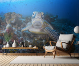 Face to face with a green turtle Poster och Canvastavla