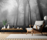 foggy forest Poster och Canvastavla