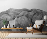 Elephant Playing Poster och Canvastavla