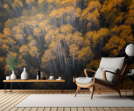 Aspen in Autumn Poster och Canvastavla