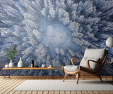 Forest in Winter Poster och Canvastavla