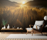Aerial shot of an autumn forest Poster och Canvastavla