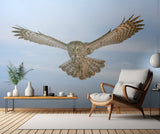 Landing Poster och Canvastavla