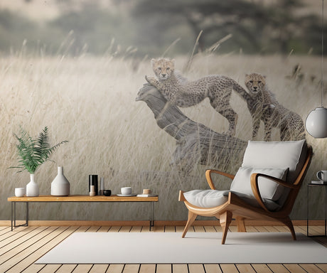 Curious Kitties Poster och Canvastavla